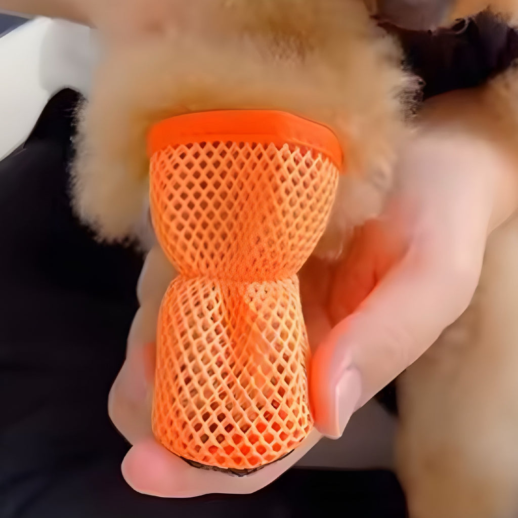 Zapatillas Transpirables de Malla para Perros