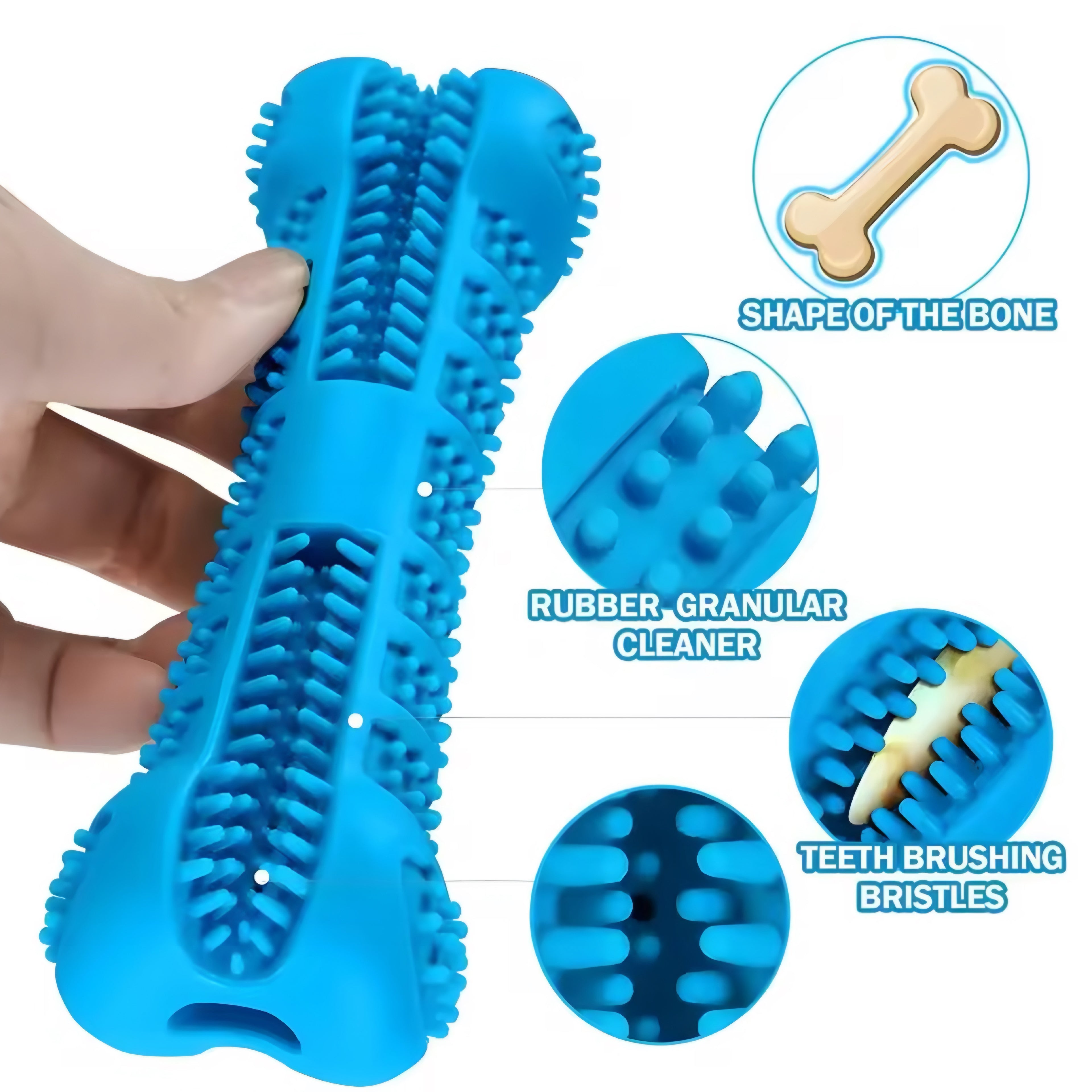 Cepillo de Dientes & Juguete