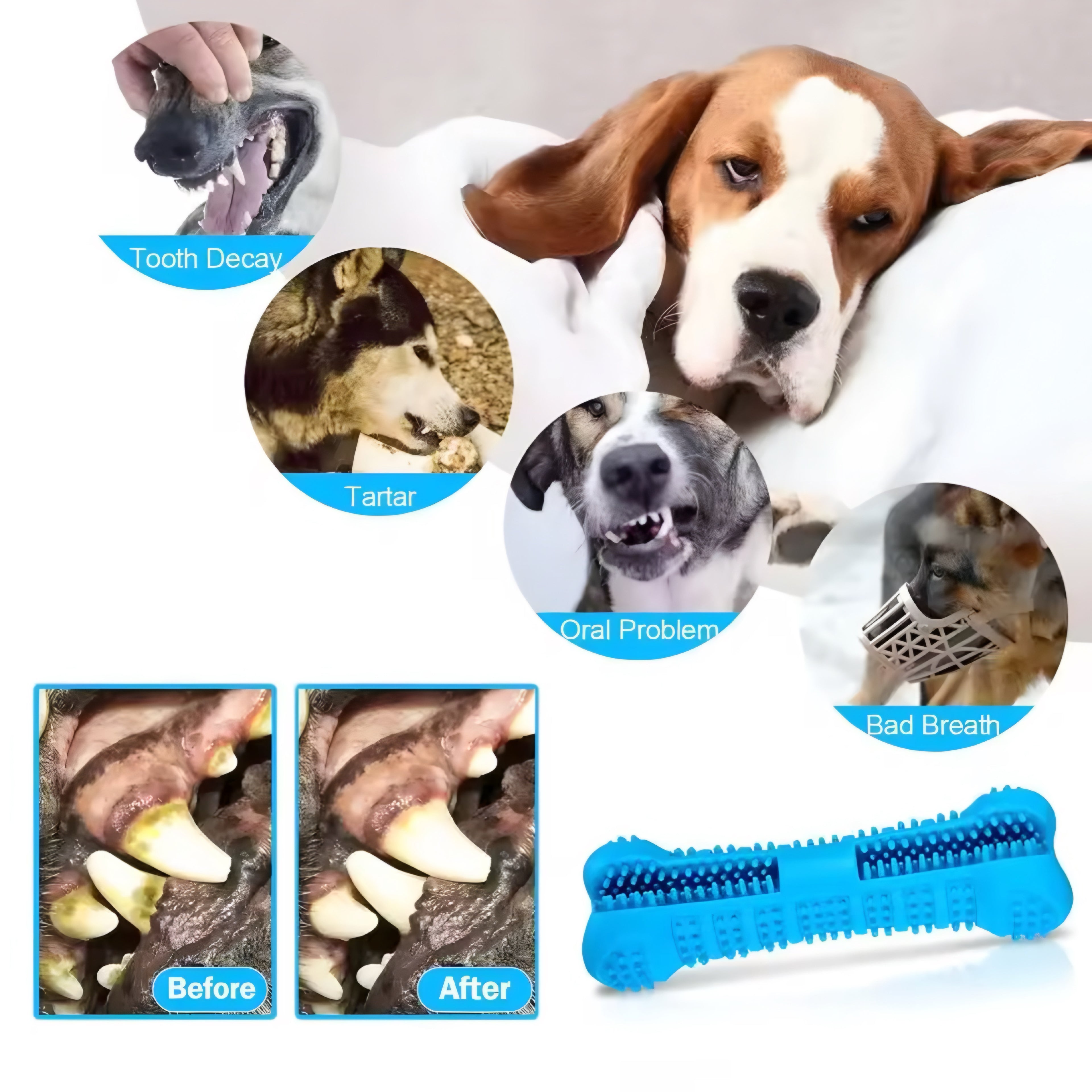 Cepillo de Dientes & Juguete