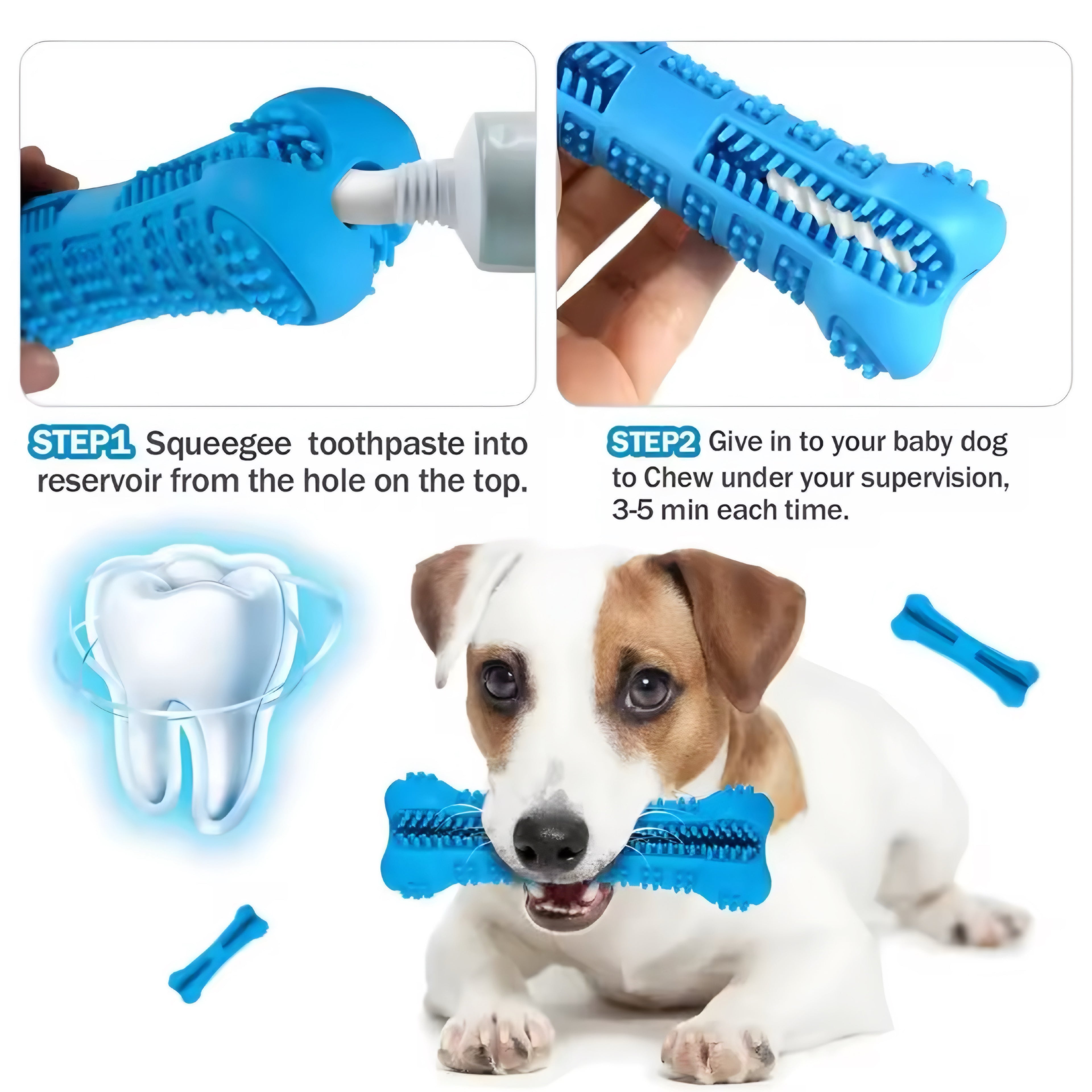 Cepillo de Dientes & Juguete
